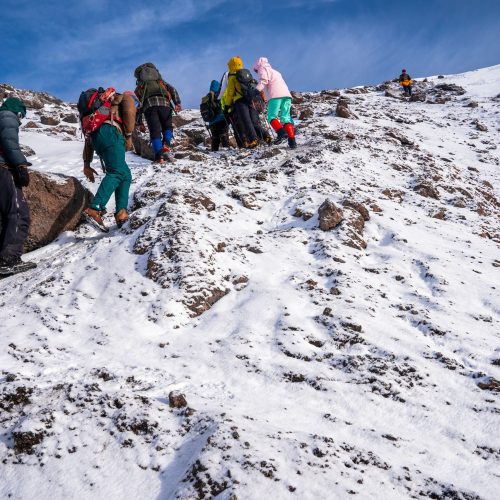 Group of trekkers hiking Kilimanjaro mountain Group of trekkers hiking among snows and rocks of Kilimanjaro mountain near Uhuru peak.