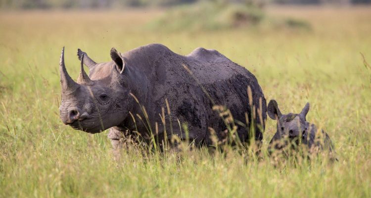 NgoroNgoro Tourism NgoroNgoro Tourism